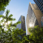 Com o aumento da conscientização sobre as questões ambientais, a demanda por profissionais qualificados em sustentabilidade está crescendo.